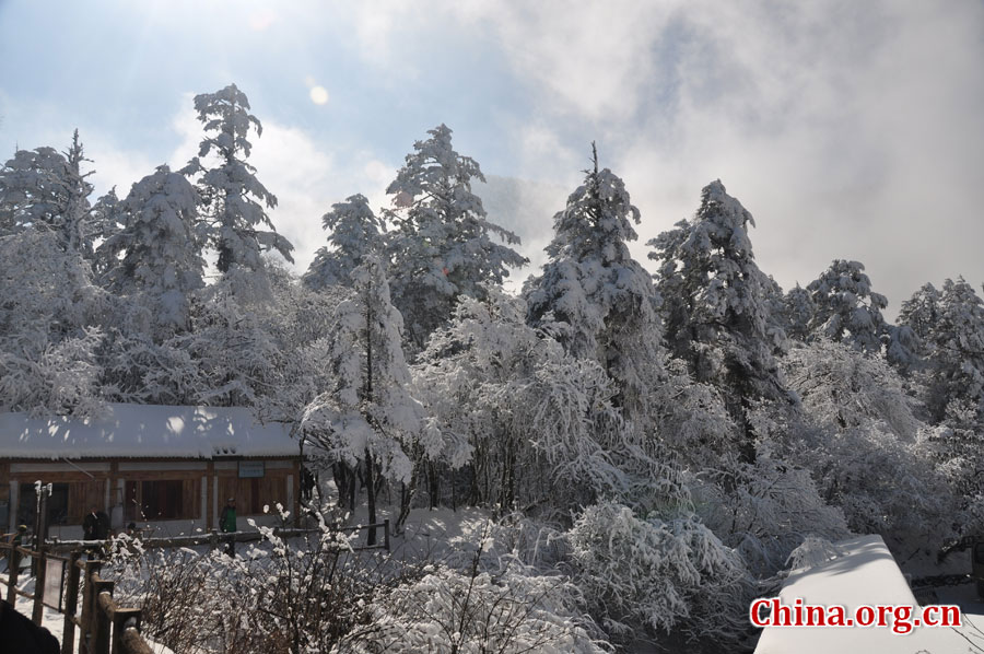 峨眉山的雪景之美，独具一格。“忽如一夜春风来，千树万树梨花开。”雪后上峨眉，如诗如画，那连绵茂密的树林，如同裹上了一袭白衣，更添几分妩媚。[中国网 陈祥昭 摄]