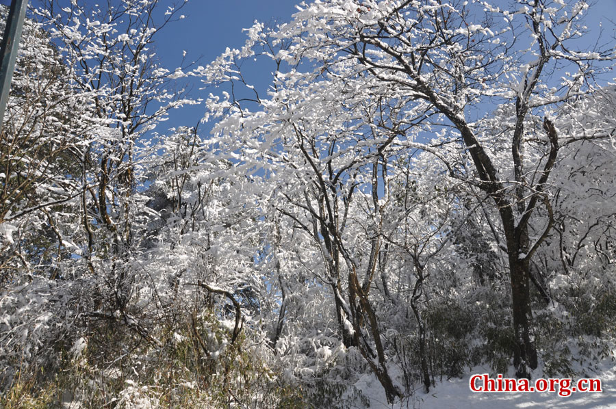 峨眉山的雪景之美，独具一格。“忽如一夜春风来，千树万树梨花开。”雪后上峨眉，如诗如画，那连绵茂密的树林，如同裹上了一袭白衣，更添几分妩媚。[中国网 陈祥昭 摄]