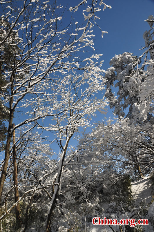 峨眉山的雪景之美，独具一格。“忽如一夜春风来，千树万树梨花开。”雪后上峨眉，如诗如画，那连绵茂密的树林，如同裹上了一袭白衣，更添几分妩媚。[中国网 陈祥昭 摄]