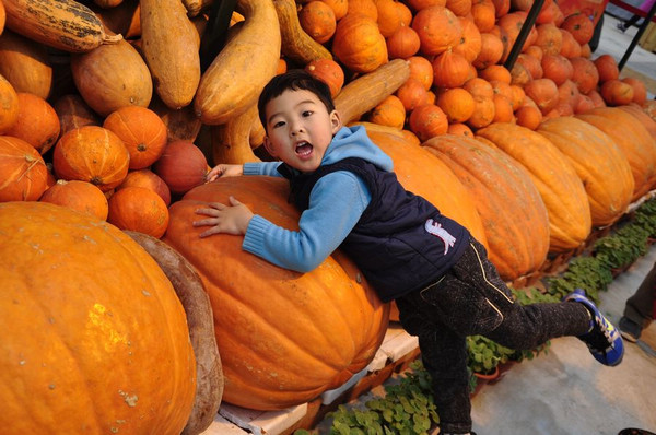 second-agricultural-carnival-to-kick-off-china-cn