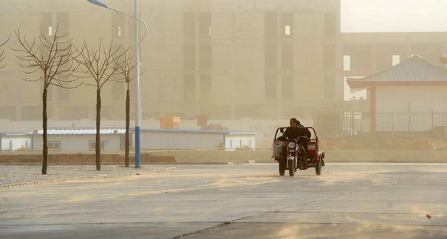 A villager rides bicycle amid sand and dust storm in Zhongning county, Northwest China's Ningxia Hui autonomous region, March 11, 2014. Gale and sand storm hit Ningxia on Tuesday. [Photo/Xinhua] 