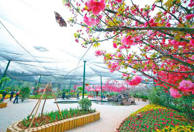 Tens of thousands of butterflies have travelled there all the way from Yunnan province to China's National Flower Garden.