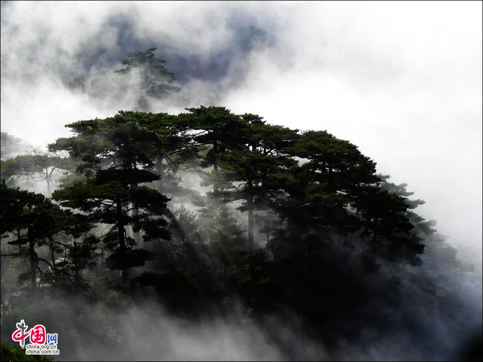 Mount Huangshan in summer - China.org.cn