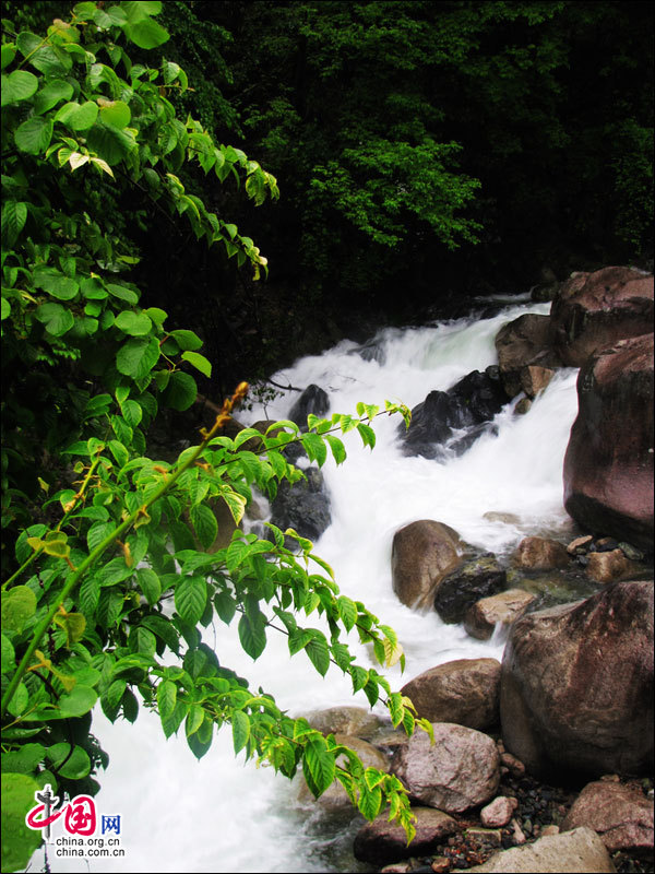 Mount Huangshan in summer - China.org.cn