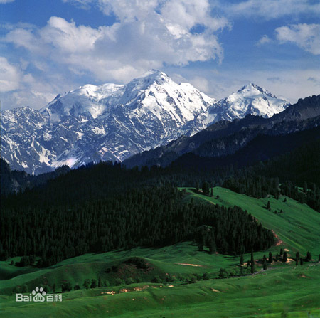 Nanshan Mountain Scenic Area, one of the 'top 10 attractions in Urumqi, China' by China.org.cn.