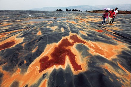 The soil close to Yangzong Lake, southwest China's Yunnan Province was seriously polluted by Arsenic in 2009. [File photo]