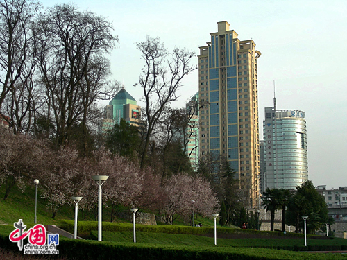 Hefei, one of the 'Top 20 cities with highest average monthly salary' by China.org.cn