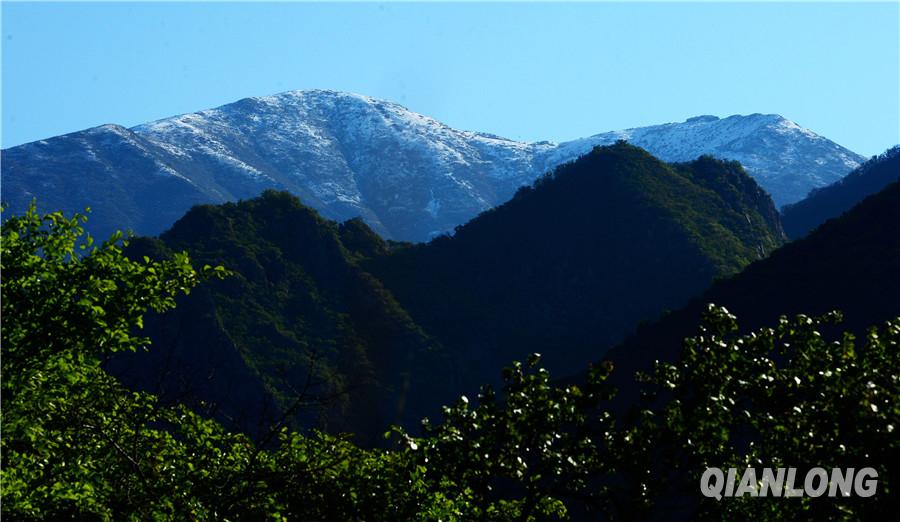 海陀戴雪图片