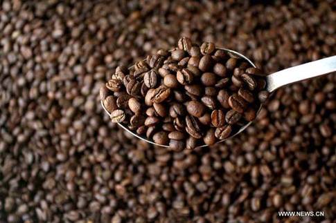 China's coffee market taking time to brew