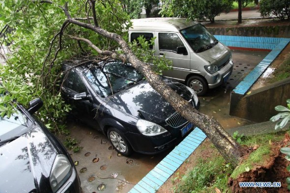 A collapsed tree falls on a motorcar in Quanzhou County of Guilin City, south China's Guangxi Zhuang Autonomous Region, June 20, 2014. A rainstorm hit several cities in Guangxi and local weather bureau has launched an emergency response. [Photo / Xinhua]