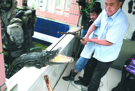 A man in southwest China's Chongqing municipality sends a crocodile he's been keeping on his rooftop garden as a pet to the city's crocodile zoo on Saturday, June 21, 2014. [Photo: sohu.com] 