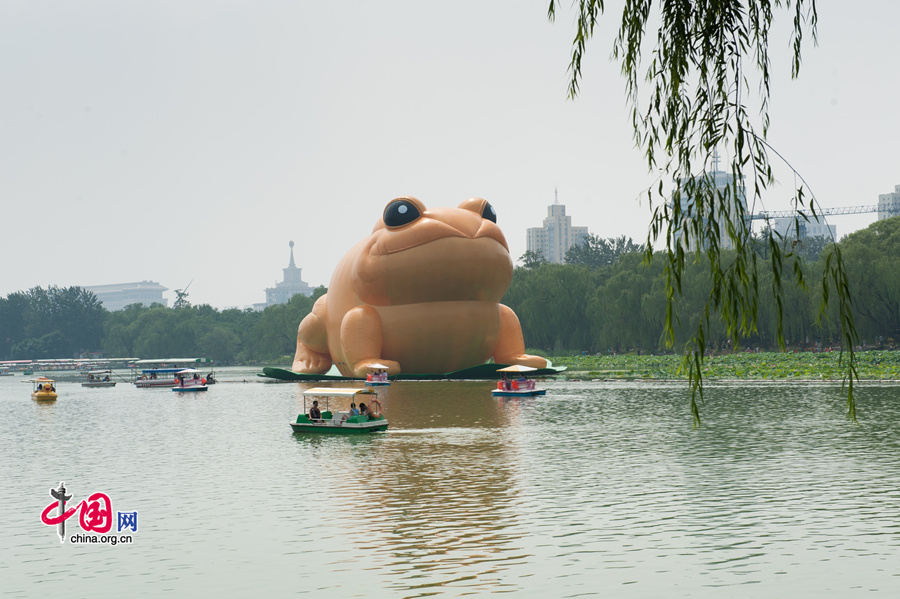 A giant, air-filled toad is seem at the lake of the Yuyuantan Park in downtown Beijing on Saturday, July 19, 2014. The 22-meter tall toad, called &apos;Toad of Rejuvenation&apos; or simply &apos;Golden Toad,&apos; is meant to represent the traditional Chinese culture as it brings blessings and fortune. The appearance of the Golden Toad can hardly make people refrain from comparing it with the Giant Rubber Duck, an artifact made by Dutch artist Florentijn Hofman, famous worldwide. [Photo by Chen Boyuan / China.org.cn]