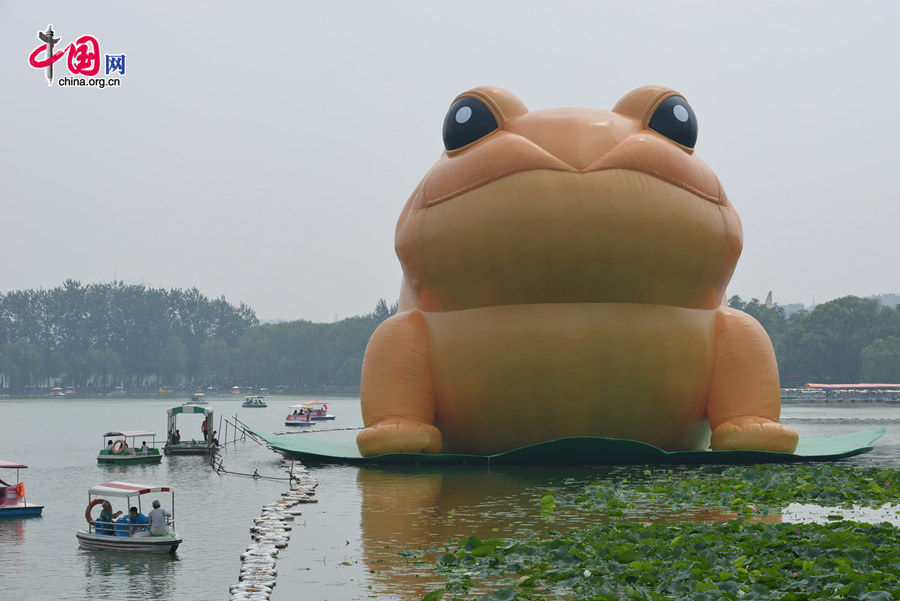 A giant, air-filled toad is seem at the lake of the Yuyuantan Park in downtown Beijing on Saturday, July 19, 2014. The 22-meter tall toad, called &apos;Toad of Rejuvenation&apos; or simply &apos;Golden Toad,&apos; is meant to represent the traditional Chinese culture as it brings blessings and fortune. The appearance of the Golden Toad can hardly make people refrain from comparing it with the Giant Rubber Duck, an artifact made by Dutch artist Florentijn Hofman, famous worldwide. [Photo by Chen Boyuan / China.org.cn]