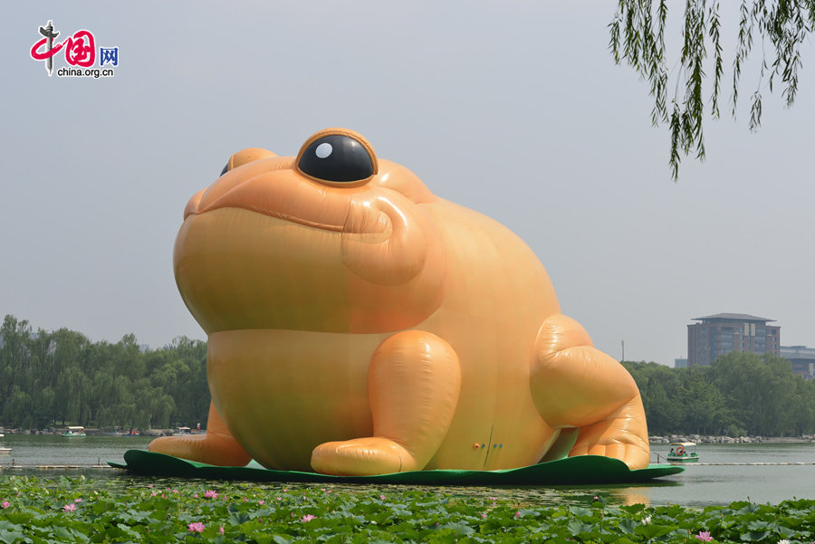 A giant, air-filled toad is seem at the lake of the Yuyuantan Park in downtown Beijing on Saturday, July 19, 2014. The 22-meter tall toad, called &apos;Toad of Rejuvenation&apos; or simply &apos;Golden Toad,&apos; is meant to represent the traditional Chinese culture as it brings blessings and fortune. The appearance of the Golden Toad can hardly make people refrain from comparing it with the Giant Rubber Duck, an artifact made by Dutch artist Florentijn Hofman, famous worldwide. [Photo by Chen Boyuan / China.org.cn]