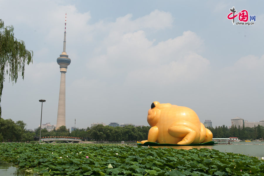 A giant, air-filled toad is seem at the lake of the Yuyuantan Park in downtown Beijing on Saturday, July 19, 2014. The 22-meter tall toad, called &apos;Toad of Rejuvenation&apos; or simply &apos;Golden Toad,&apos; is meant to represent the traditional Chinese culture as it brings blessings and fortune. The appearance of the Golden Toad can hardly make people refrain from comparing it with the Giant Rubber Duck, an artifact made by Dutch artist Florentijn Hofman, famous worldwide. [Photo by Chen Boyuan / China.org.cn]