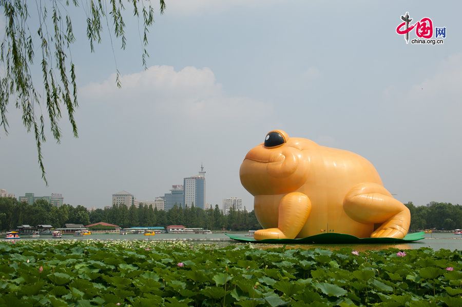 A giant, air-filled toad is seem at the lake of the Yuyuantan Park in downtown Beijing on Saturday, July 19, 2014. The 22-meter tall toad, called &apos;Toad of Rejuvenation&apos; or simply &apos;Golden Toad,&apos; is meant to represent the traditional Chinese culture as it brings blessings and fortune. The appearance of the Golden Toad can hardly make people refrain from comparing it with the Giant Rubber Duck, an artifact made by Dutch artist Florentijn Hofman, famous worldwide. [Photo by Chen Boyuan / China.org.cn]