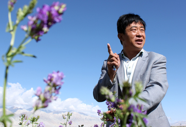 Han Junwen, a 47-year-old agriculture specialist, has worked in Ngari for almost 10 years and helped the residents grow alfalfa in difficult conditions. Peng Yining / China Daily 