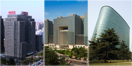 Top 10 multinational enterprises of China in 20