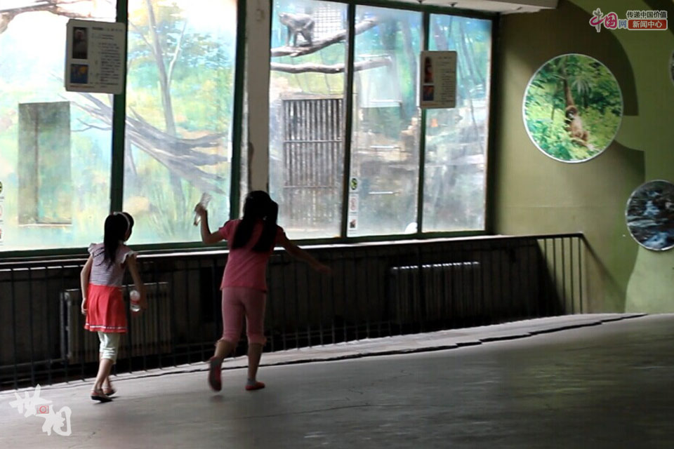 白龙村留守女童的北京七日