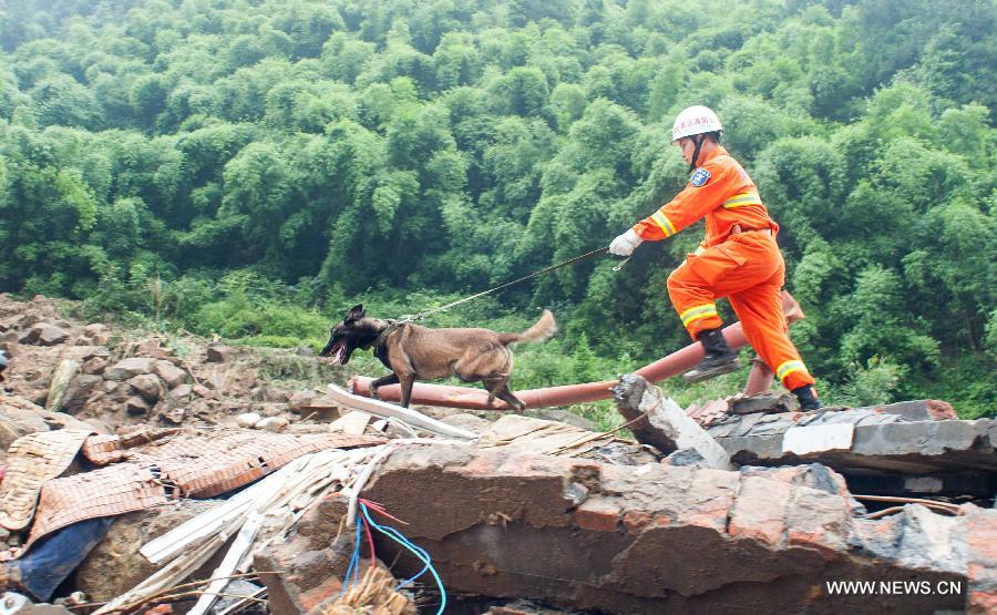 A rescuer and a sniffer dog search for survivers at a landslide site in Changsheng Village of Changshou District in southwest China's Chongqing, Sept. 14, 2014. Downpours are wreaking havoc in southwest China Saturday. Landslides triggered by continuous rainfalls have killed at least three people here and more buried are yet to be found. (Xinhua/Liu Chan)