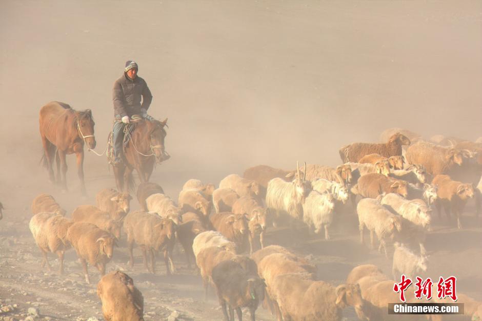 Great seasonal migration of livestock