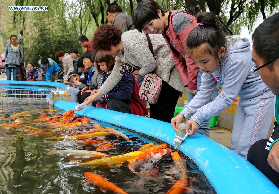 CHINA-QINHAUNGDAO-FISH(CN)