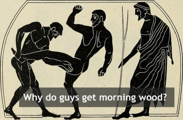 Do morning do wood guys what with How to
