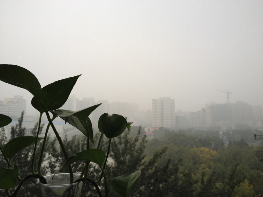 The dense haze has continued in Beijing in the past days, with PM2.5 concentration levels reaching more than 500 micrograms per cubic meter in some areas on Friday. [Photo/China.org.cn]