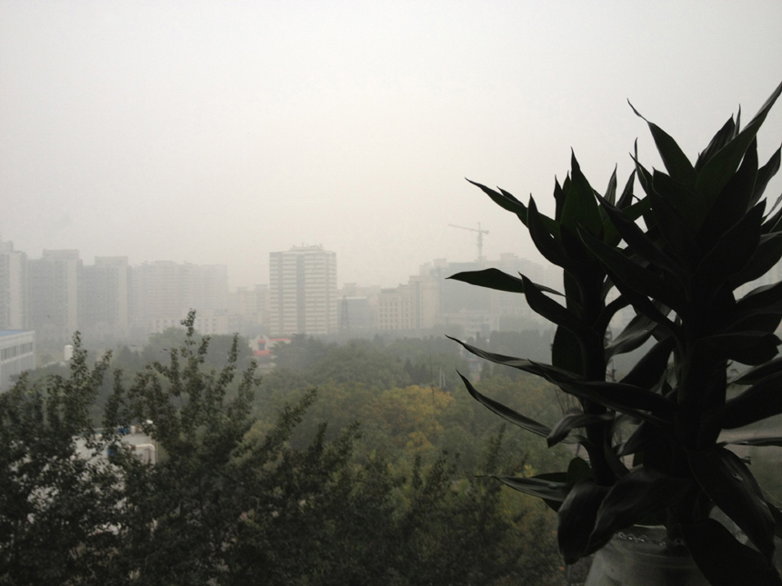 The dense haze has continued in Beijing in the past days, with PM2.5 concentration levels reaching more than 500 micrograms per cubic meter in some areas on Friday. [Photo/China.org.cn]