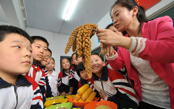 Students at an elementary school in Handan, Hebei province, learn to identify different varieties of grain on Wednesday. The lesson is intended to improve awareness of the importance of not wasting food. Hao Qunying / China Daily