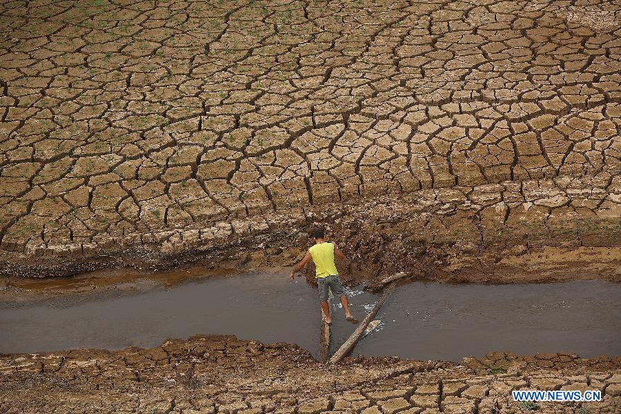 Sao Paulo suffers worst drought in decades - China.org.cn