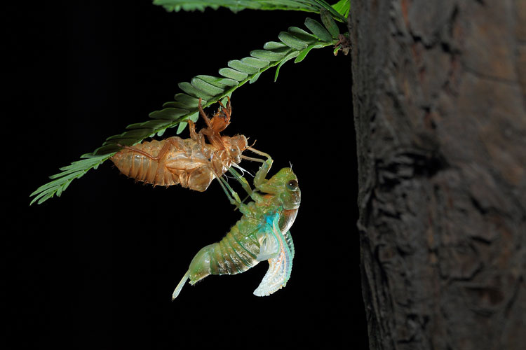 Nature photographer captures Ningbo nightlife