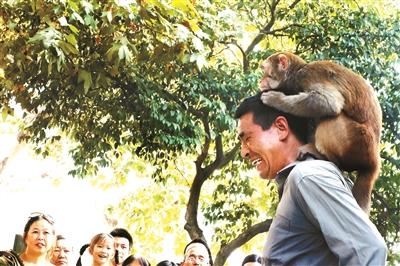 Wang Zhongxu, a trainer from Xinye, plays with one of his monkeys on a street.