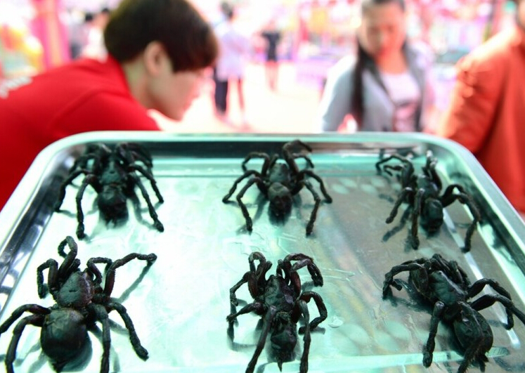 Fried spiders at a Taiwan food festival in Zhejiang Province, Oct 18, 2014. 