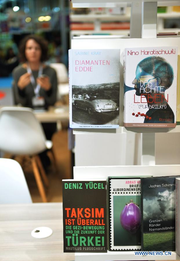 A guest visits German publisher booth in the 33rd International Istanbul Book Fair in Istanbul, Turkey on Nov. 8, 2014.