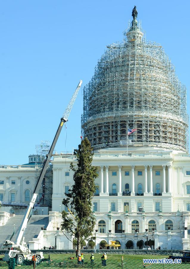 US Capitol Christmas Tree installed