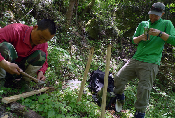 Ecological experts work in the Laohegou reserve to determine if the environment is improving for the pandas. 