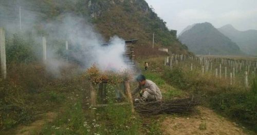 The father burns herbs to try to cure his daughter, Nov 25.