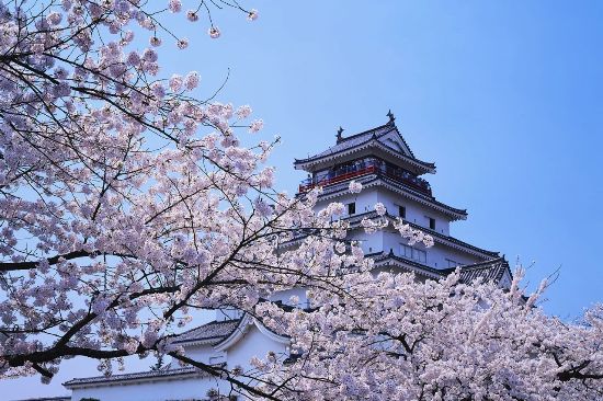 Kyoto, one of the 'Top 9 Asian cities for students in 2015' by China.org.cn