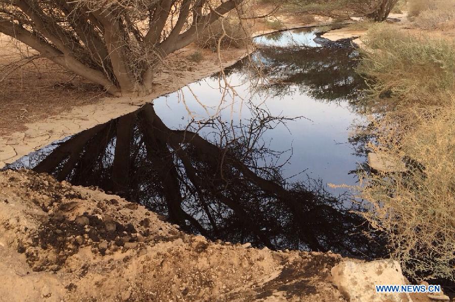 Oil is seen after a large oil spillage caused by an oil pipeline that breached during maintenance work in the Arava desert, southern Israel, on Dec. 4, 2014. An oil spill flooded overnight a desert nature reserve in southern Israel, causing 'one of the worst' ecological disasters in Israel, officials and local media said Thursday. [Photo/Xinhua] 