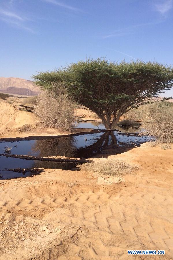 Oil is seen after a large oil spillage caused by an oil pipeline that breached during maintenance work in the Arava desert, southern Israel, on Dec. 4, 2014. An oil spill flooded overnight a desert nature reserve in southern Israel, causing 'one of the worst' ecological disasters in Israel, officials and local media said Thursday. [Photo/Xinhua]