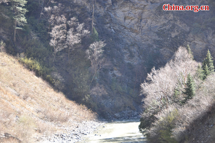 四川省阿坝州黑水县有着国内面积最大、游赏季节最长、色彩最丰富的彩林区，因此享有“多彩的民俗生态世界”和“立体画廊”之美誉。秋意正浓时节，在此驻足，眼前仿佛展开了一幅幅绚烂的秋日山水画，让人不禁陶醉于大自然馈赠的这空灵脱俗之美。[中国网 陈竹溪 摄]