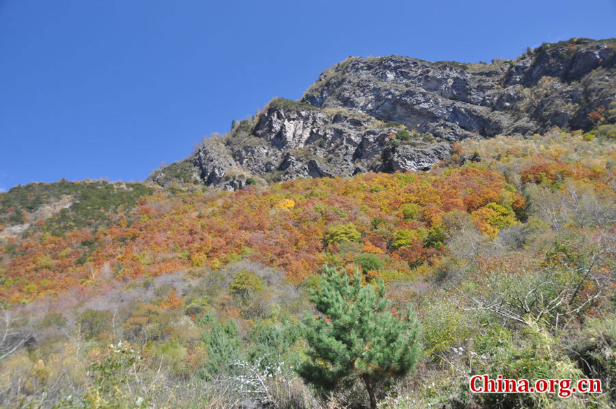 松坪沟位于茂县（四川最大的羌族聚居地）西北叠溪镇、松坪沟乡境内，因1933年8月15日一场7.5级的大地震形成的堰塞湖而成。叠溪—松坪沟风景区是世界上保存最完整的地震破坏遗址之一，160平方公里的范围内集群山、海子、原始森林、地震断裂残迹、羌族风情与民族历史文化教育遗存漂流于一体。[中国网 陈竹溪 摄]