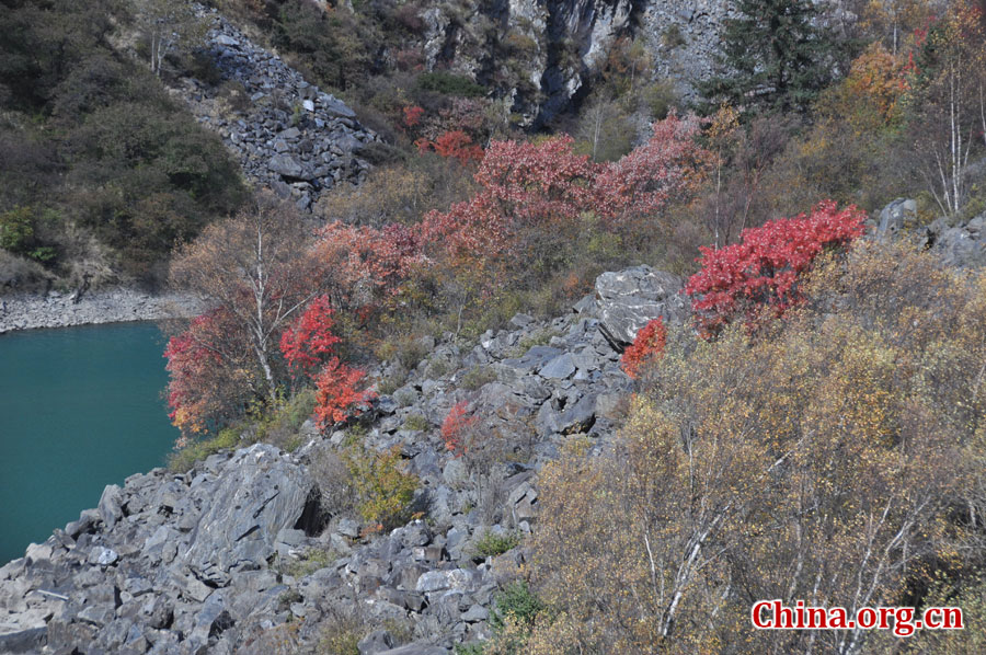 松坪沟位于茂县（四川最大的羌族聚居地）西北叠溪镇、松坪沟乡境内，因1933年8月15日一场7.5级的大地震形成的堰塞湖而成。叠溪—松坪沟风景区是世界上保存最完整的地震破坏遗址之一，160平方公里的范围内集群山、海子、原始森林、地震断裂残迹、羌族风情与民族历史文化教育遗存漂流于一体。[中国网 陈竹溪 摄]