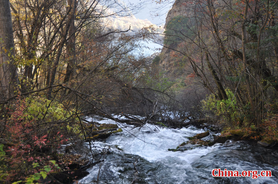 松坪沟位于茂县（四川最大的羌族聚居地）西北叠溪镇、松坪沟乡境内，因1933年8月15日一场7.5级的大地震形成的堰塞湖而成。叠溪—松坪沟风景区是世界上保存最完整的地震破坏遗址之一，160平方公里的范围内集群山、海子、原始森林、地震断裂残迹、羌族风情与民族历史文化教育遗存漂流于一体。[中国网 陈竹溪 摄]