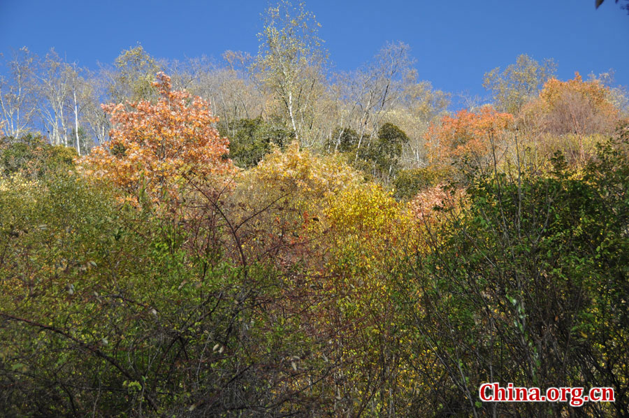 松坪沟位于茂县（四川最大的羌族聚居地）西北叠溪镇、松坪沟乡境内，因1933年8月15日一场7.5级的大地震形成的堰塞湖而成。叠溪—松坪沟风景区是世界上保存最完整的地震破坏遗址之一，160平方公里的范围内集群山、海子、原始森林、地震断裂残迹、羌族风情与民族历史文化教育遗存漂流于一体。[中国网 陈竹溪 摄]