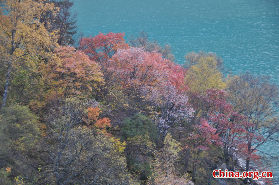 松坪沟位于茂县（四川最大的羌族聚居地）西北叠溪镇、松坪沟乡境内，因1933年8月15日一场7.5级的大地震形成的堰塞湖而成。叠溪—松坪沟风景区是世界上保存最完整的地震破坏遗址之一，160平方公里的范围内集群山、海子、原始森林、地震断裂残迹、羌族风情与民族历史文化教育遗存漂流于一体。[中国网 陈竹溪 摄]