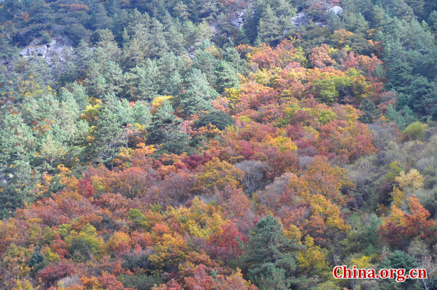 松坪沟位于茂县（四川最大的羌族聚居地）西北叠溪镇、松坪沟乡境内，因1933年8月15日一场7.5级的大地震形成的堰塞湖而成。叠溪—松坪沟风景区是世界上保存最完整的地震破坏遗址之一，160平方公里的范围内集群山、海子、原始森林、地震断裂残迹、羌族风情与民族历史文化教育遗存漂流于一体。[中国网 陈竹溪 摄]