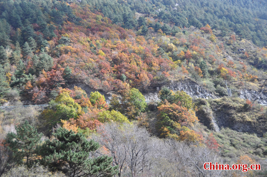 松坪沟位于茂县（四川最大的羌族聚居地）西北叠溪镇、松坪沟乡境内，因1933年8月15日一场7.5级的大地震形成的堰塞湖而成。叠溪—松坪沟风景区是世界上保存最完整的地震破坏遗址之一，160平方公里的范围内集群山、海子、原始森林、地震断裂残迹、羌族风情与民族历史文化教育遗存漂流于一体。[中国网 陈竹溪 摄]