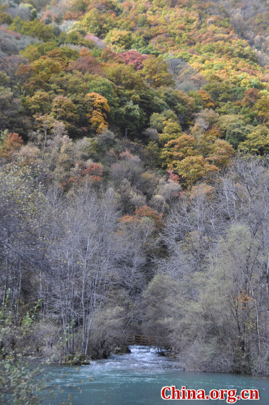 松坪沟位于茂县（四川最大的羌族聚居地）西北叠溪镇、松坪沟乡境内，因1933年8月15日一场7.5级的大地震形成的堰塞湖而成。叠溪—松坪沟风景区是世界上保存最完整的地震破坏遗址之一，160平方公里的范围内集群山、海子、原始森林、地震断裂残迹、羌族风情与民族历史文化教育遗存漂流于一体。[中国网 陈竹溪 摄]